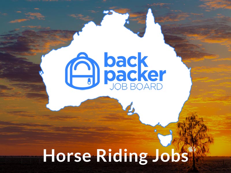Horse Riding Jobs Australia