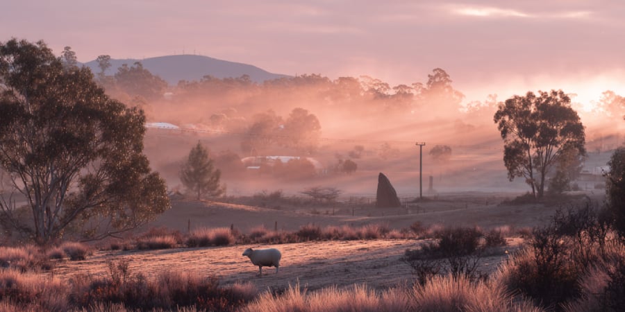 Goulburn|escape:'html'