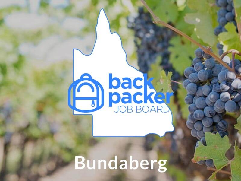 Jobs in Bundaberg