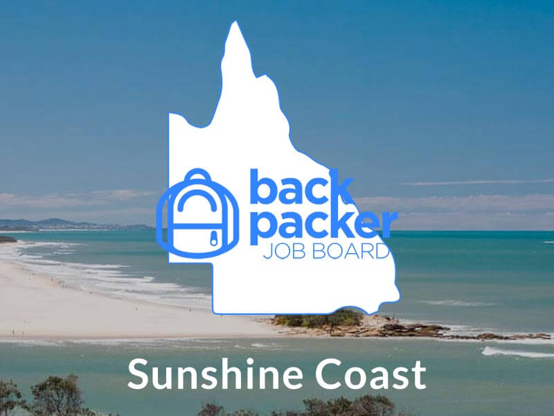 Jobs in Sunshine Coast