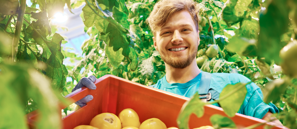 Fruit picking jobs