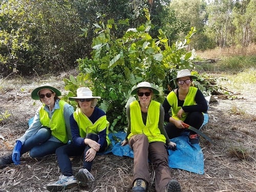 Volunteers Required For Conservation Projects Around Darwin