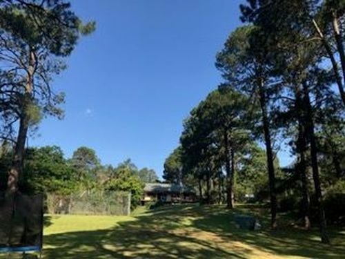 Live In Au Pair On 3.5 Glorious Acres In Northern Beaches