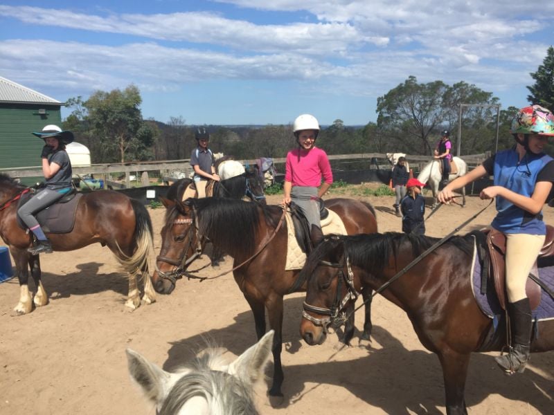 Horse Farm And Riding School Allrounder