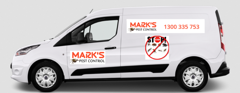 Need Pest Control Specialist - Qualified And Experienced