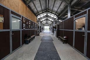 Groom Required For Highly Respected Dressage Yard