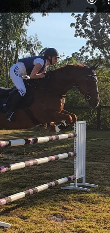 Working Pupil- Show Jumping