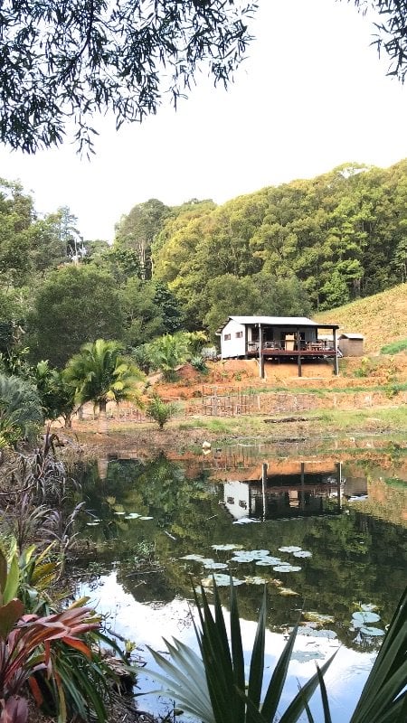Volunteer's Wanted For Tropical  Flower Farm  In The Byron  Bay Hinterlands ,can Sign 3rd