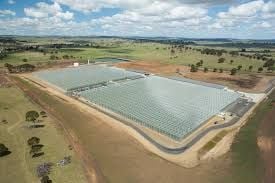 Glasshouse/ Crop/ Packing Work Available In Guyra Area