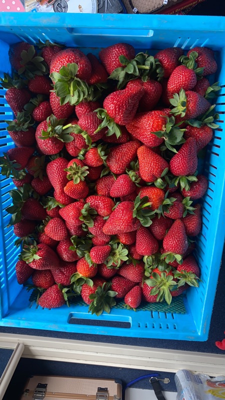 Picking Raspberry And Strawberry