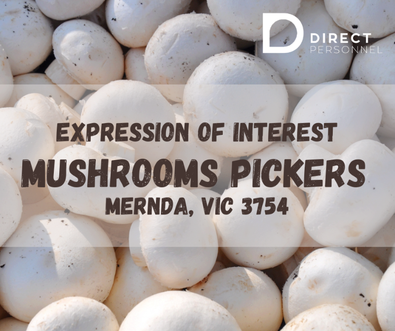 Expressions Of Interest Mushrooms Pickers In Mernda, Vic 3754
