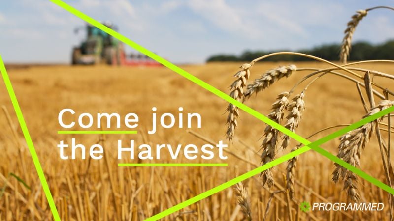 Grainflow Harvest Season - Hiring Now In Queensland.