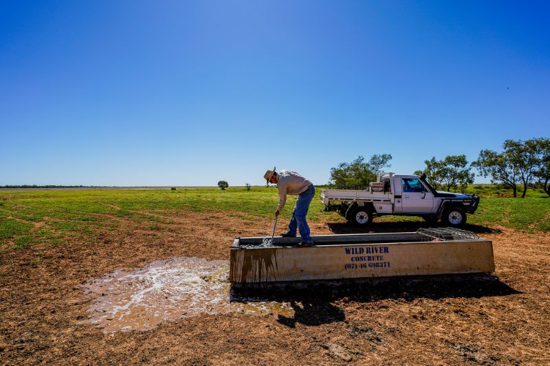 Cattle Station Bore Runner (water Maintenance Person) - Qld's Largest Cattle Station
