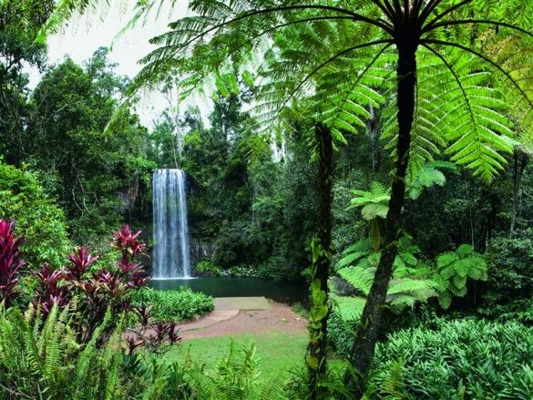 Housekeeping & Receptionist On The Atherton Tablelands- Cairns  Nth Qld.88 Days Visa Ext..