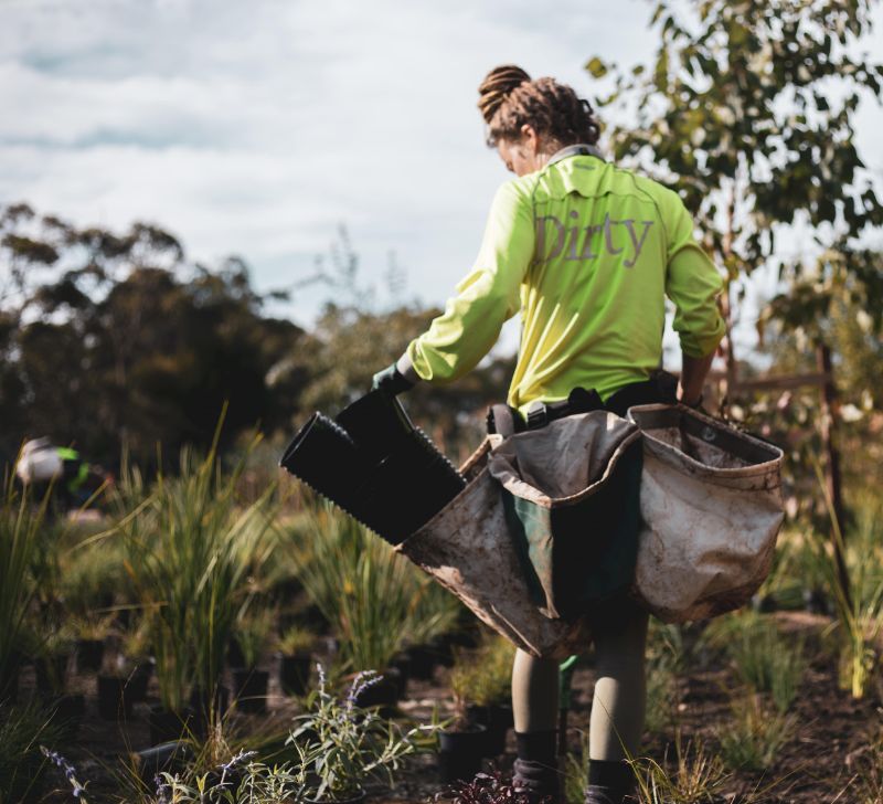 We Plant Plants (in Adelaide) And You Can Too.