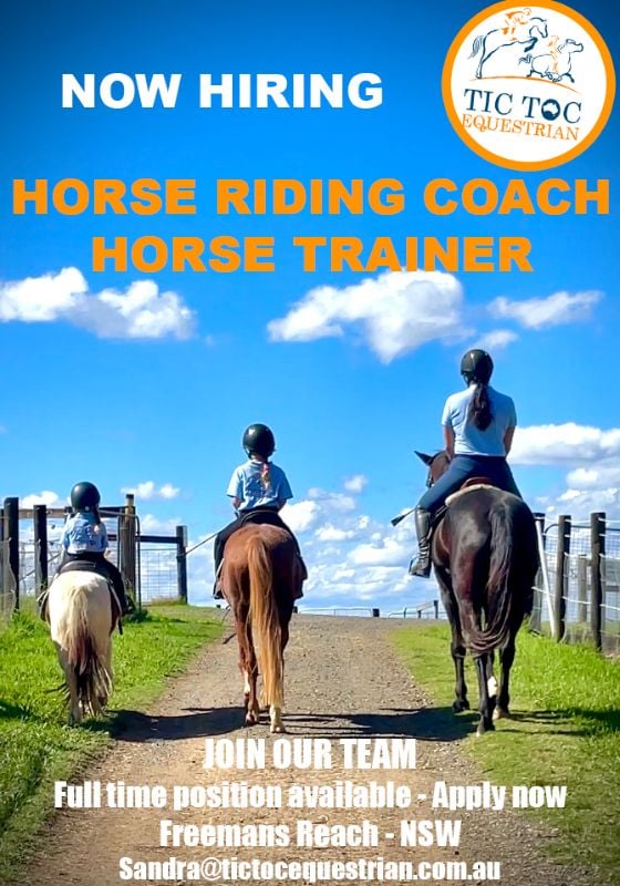 Full Time Horse Riding Coach And Horse Trainer