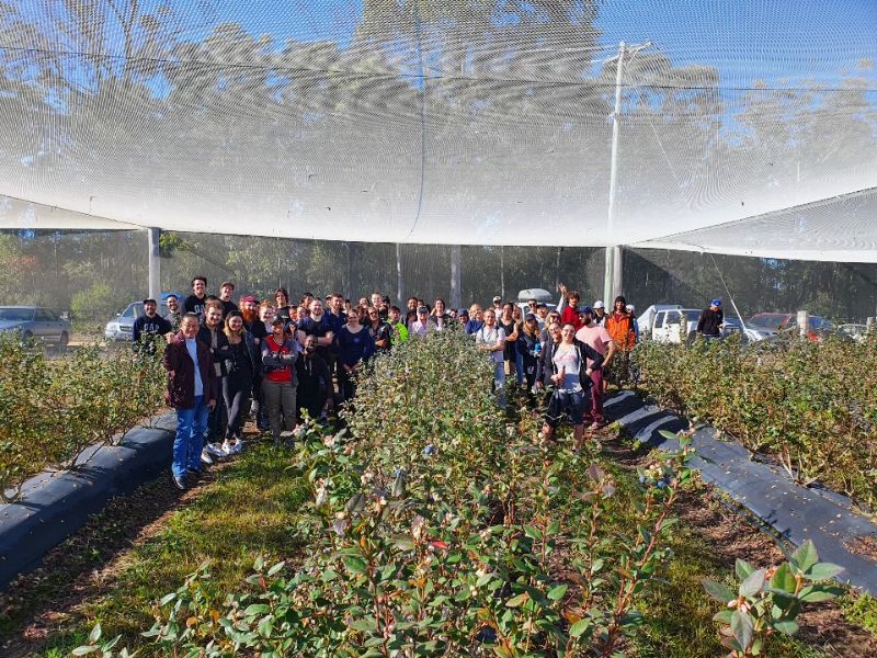Blueberry Pickers /  Fruit Picking Jobs (immediate Start) 2022 - 2023