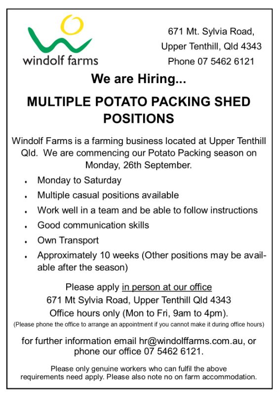 Potato Packing Shed Positions