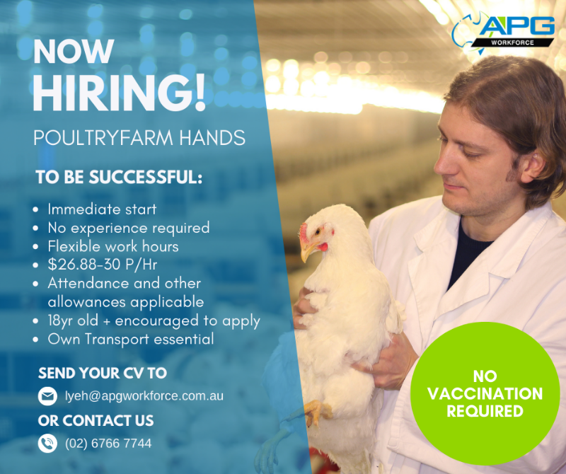 Poultry Farmhands Wanted - Tamworth Region / 2nd/ 3rd Year Working Holiday Visa Extension