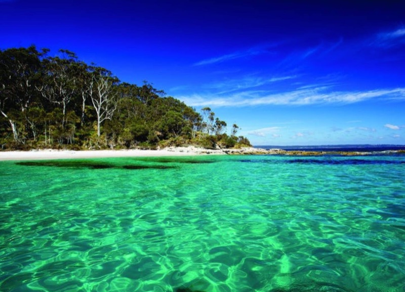 Gardening Help For Free Accomodation In Beautiful Jervis Bay
