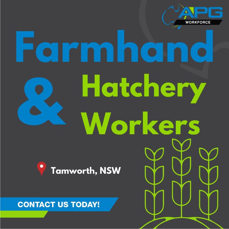 Poultry Farmhands Wanted - Tamworth Region / 2nd/ 3rd Year Working Holiday Visa Extension