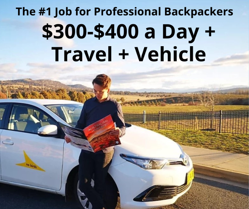 $1200-$3000 A Week + Company Car + No Work During Weekends!