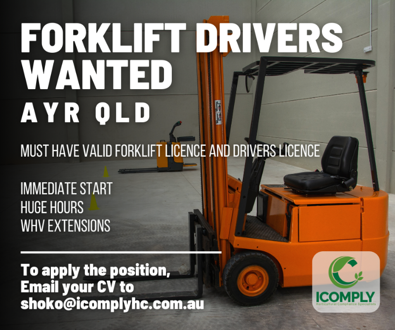 Experienced Forklift Driver With Forklift License In Ayr Qld