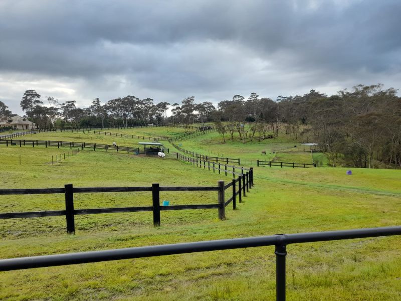 Free Accommodation In Exchange For Horse Farm Chores