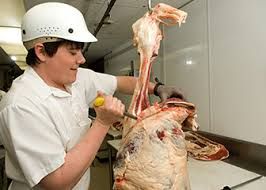 Meat Process Worker - Sa