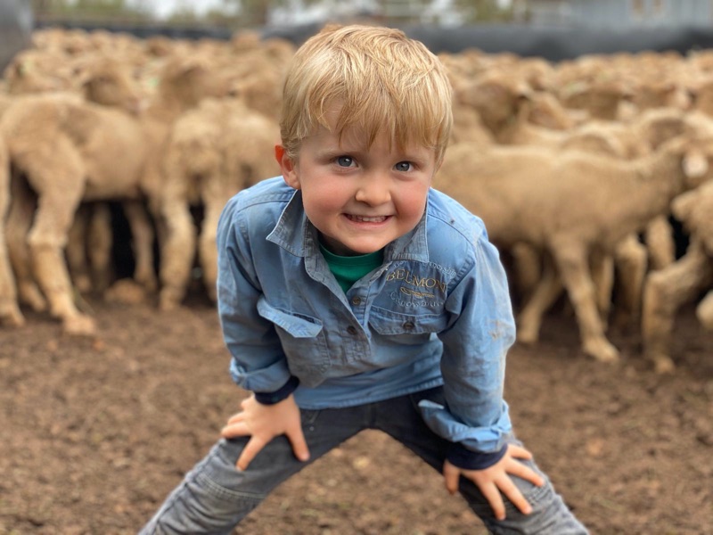 Great Rural Au Pair/farmhand Role With Visa Sign Off
